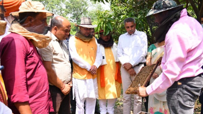 Take up beekeeping as a pilot project