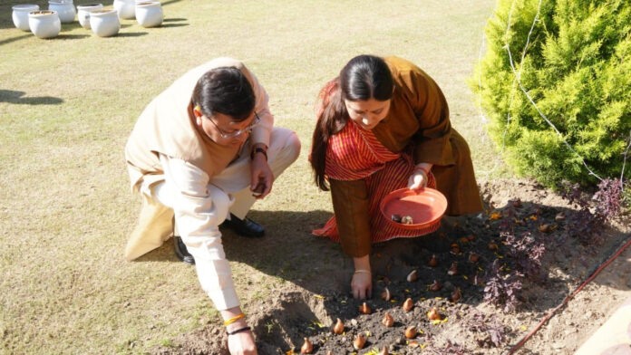 CM Dhami planted tulips