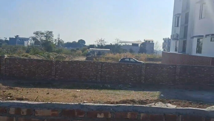 Golden Forest land is being sold